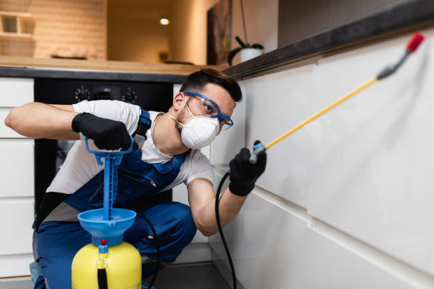 Best Affordable Pest Control Services  in Allendale, MI