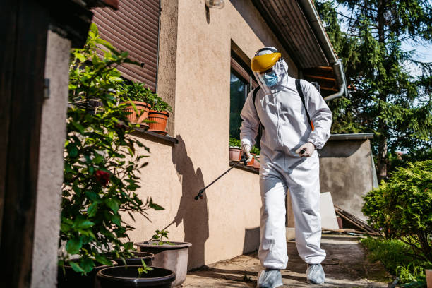 Wildlife Control Services in Allendale, MI