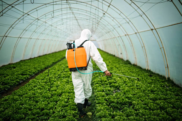Pest Control Cost in Allendale, MI