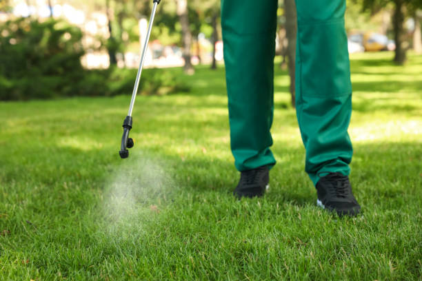 Best Pest Removal Services  in Allendale, MI
