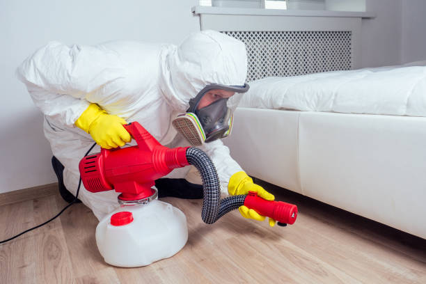 Best Flea Control Services  in Allendale, MI
