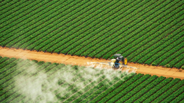 Best Mosquito Control Services  in Allendale, MI