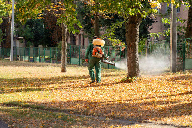 Professional Pest Control in Allendale, MI