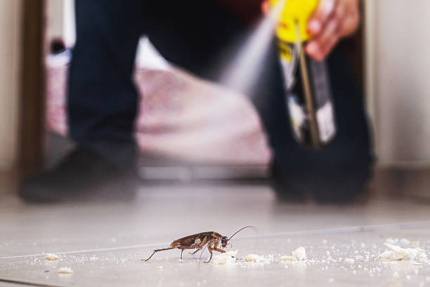 Best Residential Pest Control  in Allendale, MI