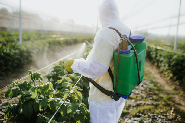 Best Wildlife Control Services  in Allendale, MI